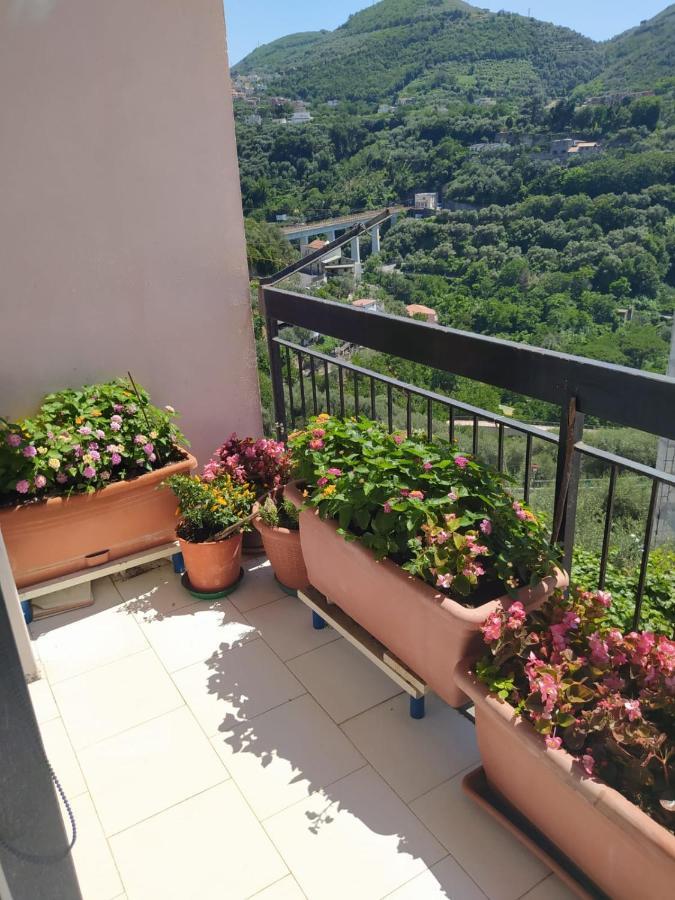 B&B Antonietta Vico Equense Zewnętrze zdjęcie